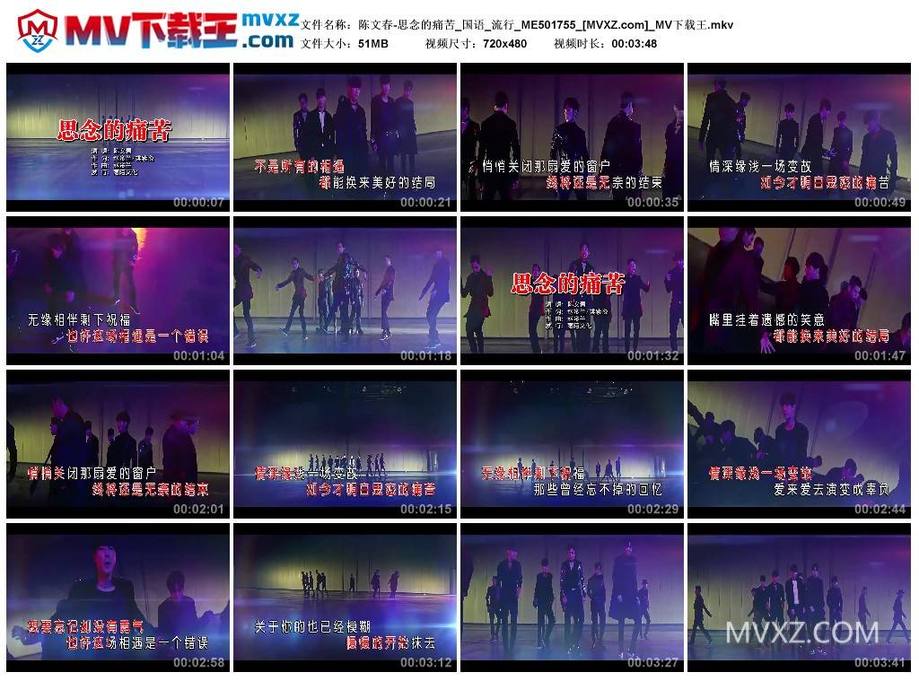 陈文春-思念的痛苦_国语_流行_ME501755